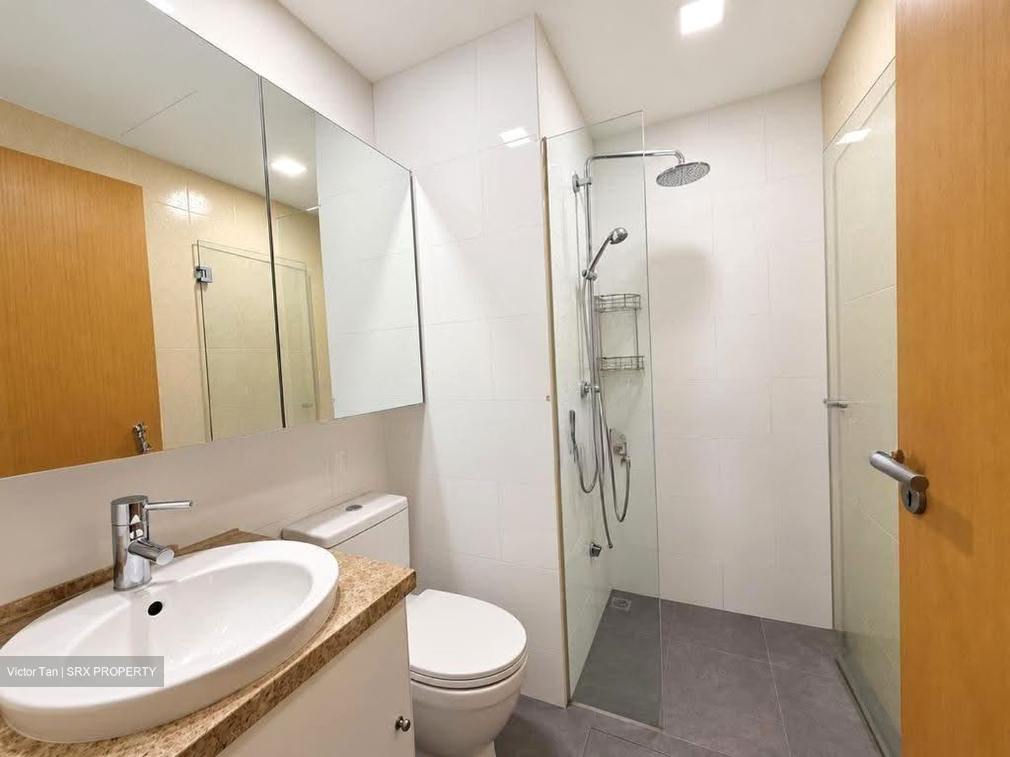 The Lincoln Residences (D11), Condominium #625552501